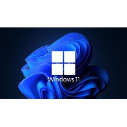 OEM Windows 11 pro for Workstation 64 bits español latam 1 pk DSP DVD
