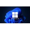 OEM Windows 11 pro for Workstation 64 bits español latam 1 pk DSP DVD