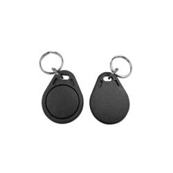 Paquete de 100 llaveros ID 125 Khz