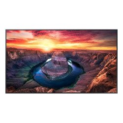 Pantalla Profesional LED de 65", UHD 4K (3840x2160p), Entradas HDMI/DisplayPort, Bocinas de 10 W. VESA. Modo de Simulación DICOM