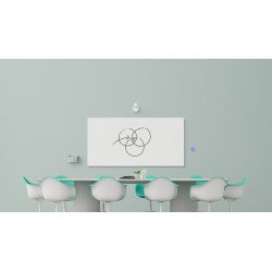 Scribe - Cámara para capturar la pizarra blanca - color - 1080p