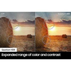 Samsung Q60B - Smart TV - 55" - 4K - HDMI x USB x 2 Bluetooth WiFi