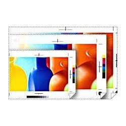 Rollo de papel para plotter Epson Proofing Paper White Semimatte 13" x 100', 255 g/m², 9.89 µm, 96%, 13" x 100', 90 %, 2"