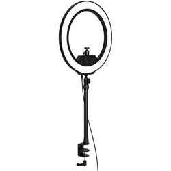 Norton identity advisor plus 1 dispositivo, 1 año (caja)