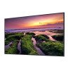 Pantalla Profesional LED de 50", UHD 4K (3840x2160p), Entradas de Video HDM, Bocinas Integradas de 10 W. Compatible VESA