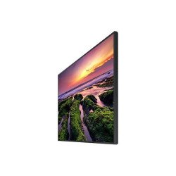 Pantalla Profesional LED de 50", UHD 4K (3840x2160p), Entradas de Video HDM, Bocinas Integradas de 10 W. Compatible VESA