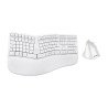 Kit Teclado y Mouse Acteck Creator Vituos Fitt MK770 Elite Series Kit Teclado y Mouse Acteck Creator Vituos Fitt MK770 Elite Series