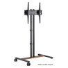 Soporte compacto para TV con ruedas Soporta un televisor de 34" a 55" de hasta 35 kg (77 lbs.), +, -10° de inclinación, diseño q