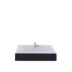 Gabinete metálico de seguridad para DVR, NVR. Tamaño máx. De DVR, NVR: 315 x 62 x 288 mm (an. X al. X prof.)