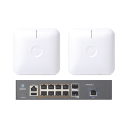 Starter kit wi-fi empresarial de 2 Access point ple410 y 1 switch PoE ex1010p
