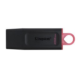 Memoria USB Kingston Technology DTX/256GB - Negro, 256 GB, USB