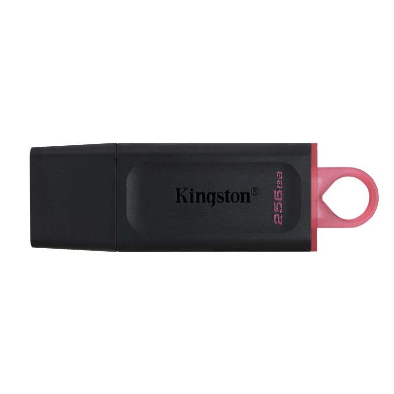Memoria USB Kingston Technology DTX/256GB - Negro, 256 GB, USB