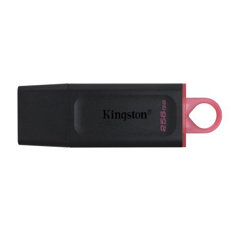 Memoria USB Kingston Technology DTX/256GB - Negro, 256 GB, USB