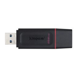 Memoria USB Kingston Technology DTX/256GB - Negro, 256 GB, USB