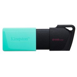 Memoria USB de 256GB Kingston DTXM/256GB (Black + Teal)