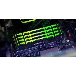Memoria DDR4 Kingston fr RGB 32GB 3200MHz cl16 DIMM