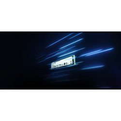 SSD NV2 M.2 KINGSTON 500GB SNV2S, 500G