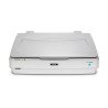 Escáner Epson Expression 13000XL, 310 x 437 mm, 2400 x 4800 DPI, 16 Bit, 48 Bit, Escáner de cama plana, Blanco