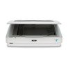 Escáner Epson Expression 13000XL, 310 x 437 mm, 2400 x 4800 DPI, 16 Bit, 48 Bit, Escáner de cama plana, Blanco