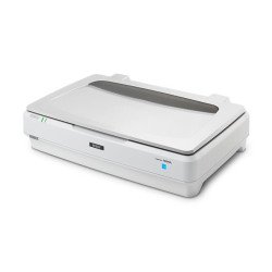 Escáner Epson Expression 13000XL, 310 x 437 mm, 2400 x 4800 DPI, 16 Bit, 48 Bit, Escáner de cama plana, Blanco