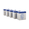 Batería con Tecnología AGM/VRLA, 4.5 Ah. Paquete de 5 Baterías