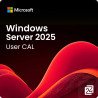 Microsoft CSP Windows server 2025 remote desktop services, 1 user cal, edu perpetuo