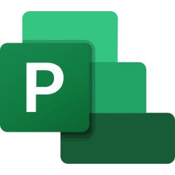 Software Microsoft Project Standard 2024 All Lng Retail Online ESD
